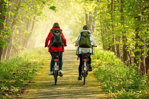 Cyclists on the Oderbruchbahn cycle path near Steinhöfel in Oder-Spree