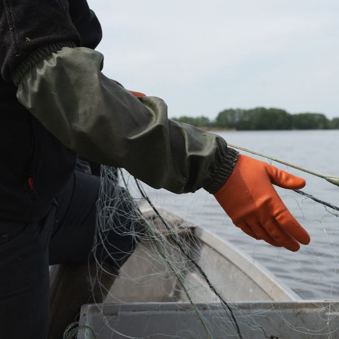 Fischer auf dem Naturgut Köllnitz auf dem Boot am Morgen