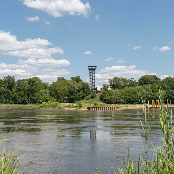Aurith Sommer Blick auf die Oder und Aussichtsturm Urad