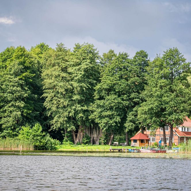 Naturgut Köllnitz Blick vom Wasser im Sommer