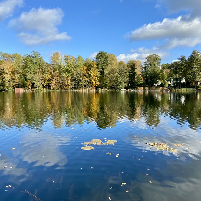 Glubigsee im Herbst