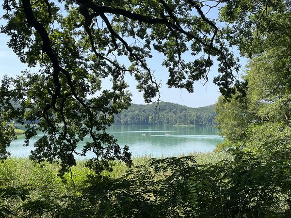 Türkiser Schermützelsee in Buckow