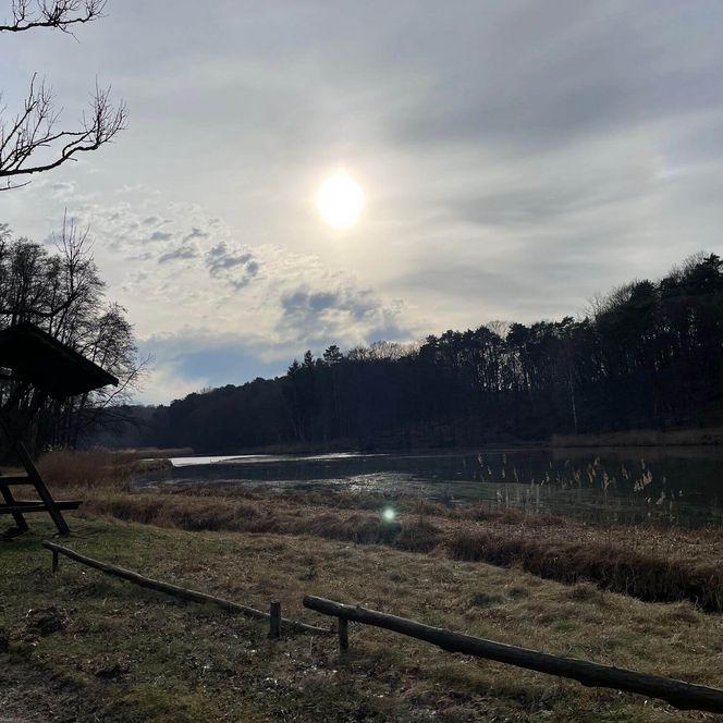 Blick über die Kieselwitzer Teiche