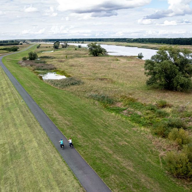 Oder-Neiße-Radweg entlang der Oder