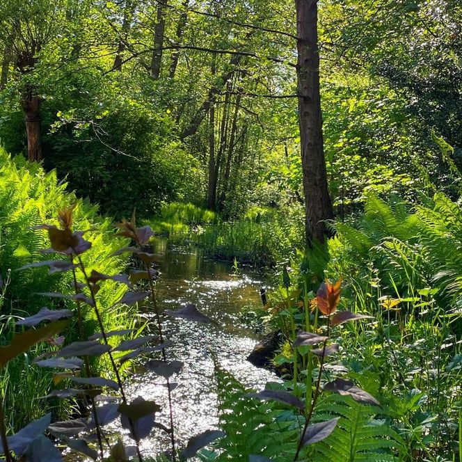 Schlaube in Kaisermühl Sommer