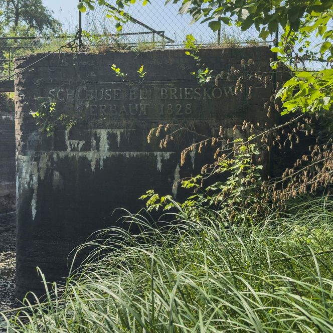 Blick vom Ufer Brieskow Finkenheerd auf alte Schleuse Sommer