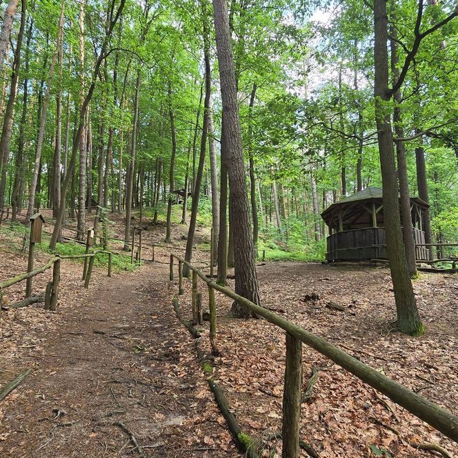 Schutzhütte Försterblick Herbst