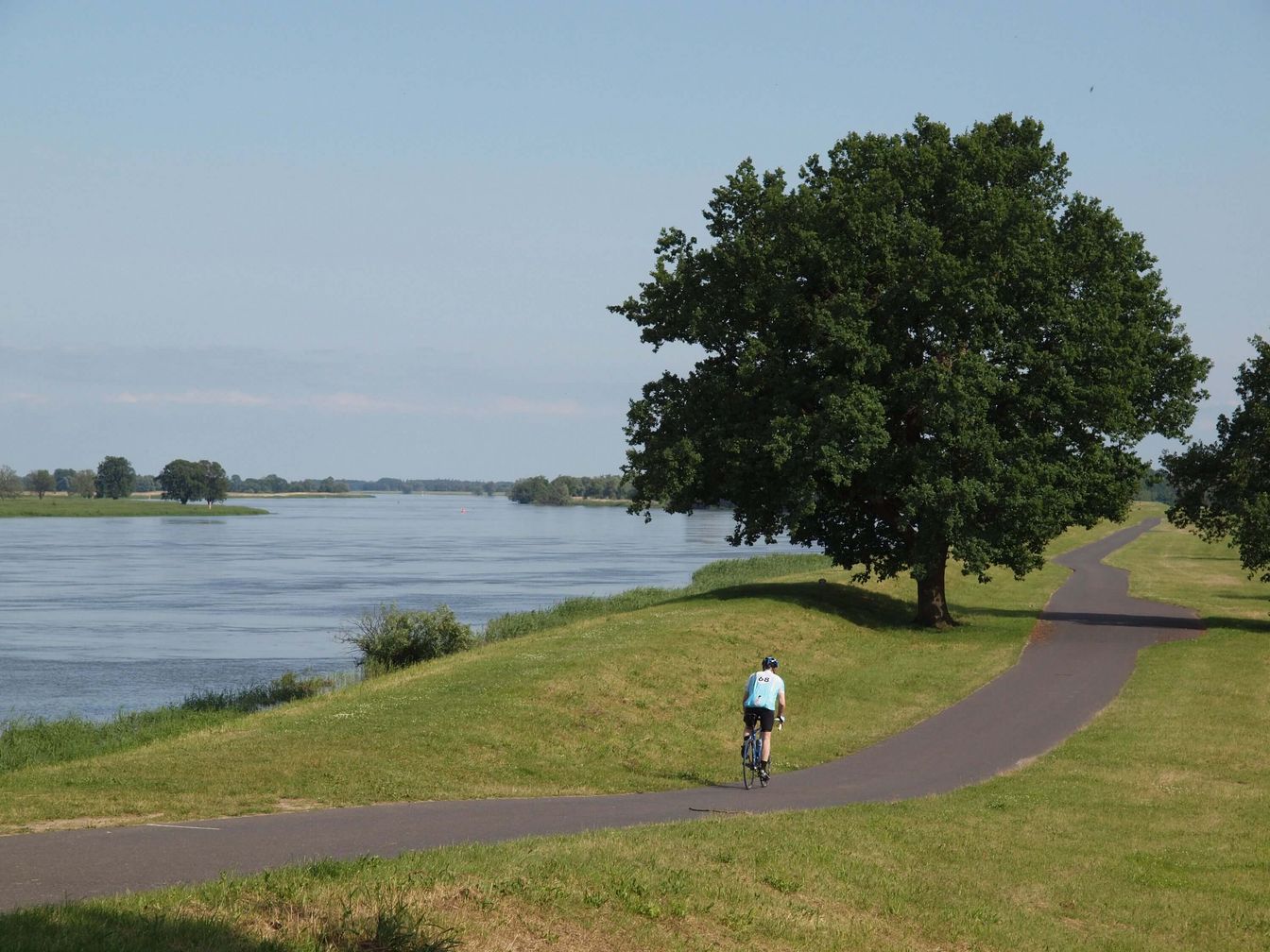 Fahrradfahrer auf dem Oder-Neiße-Radweg am Fluss in Oder-Spree