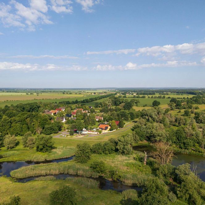Drohnenaufnahme von der Oder bei Aurith im Sommer