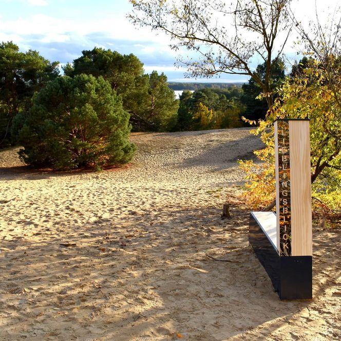 Lieblingsblick auf der Binnendüne Waltersberge in Storkow 