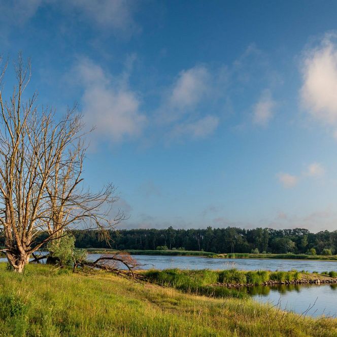 Ausblick auf Wasser vom Ufer der Oder