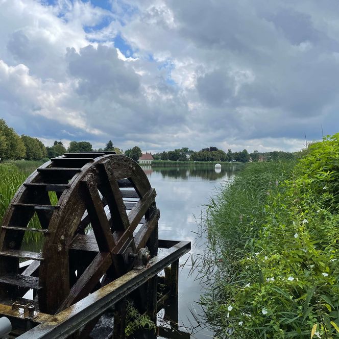 Müllroser See Nordufer Schlaubewehr Mühlrad Sommer