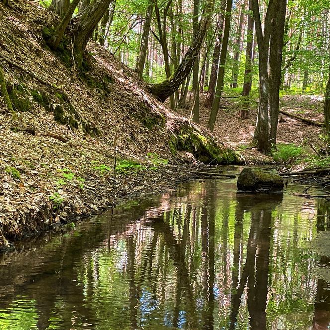 Planfliess Schlaubetal