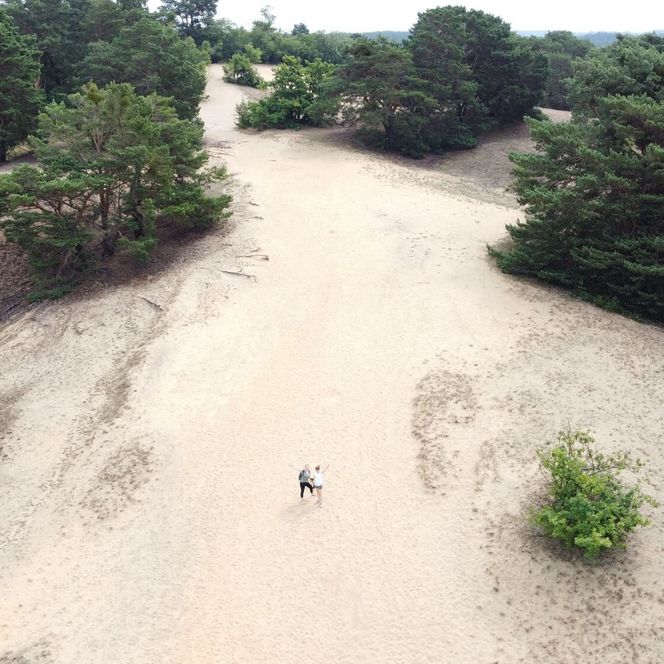 Binnendüne Waltersberge in Storkow aus der Vogelperspektive 