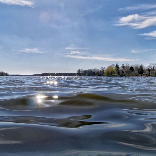 großer Müllroser See Promenade Wasser Frühling