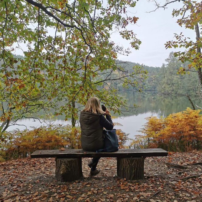 Rundwanderweg um den Wirchensee im Schlaubetal im Herbst