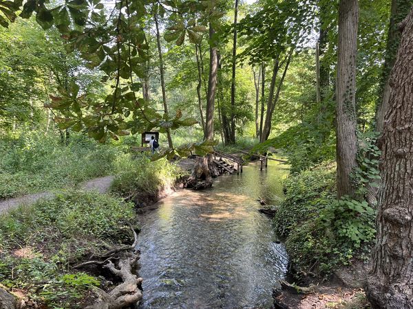 Werderfließ bei Buckow