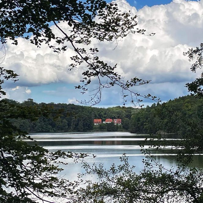 Hammersee Blick Siehdichum im sommer