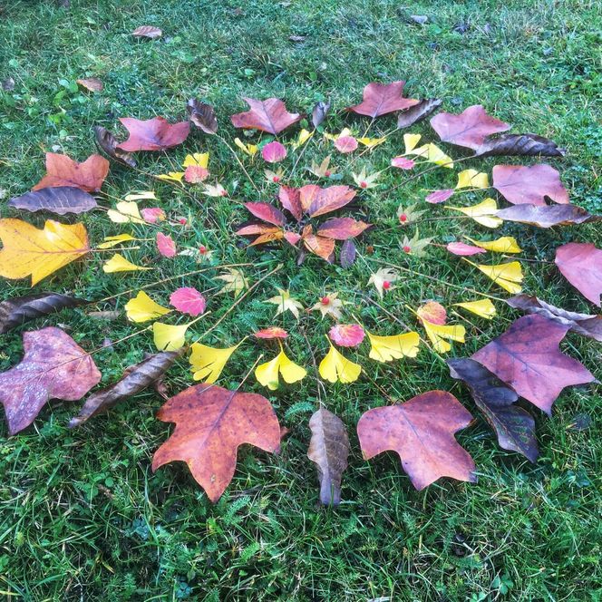 kreisrundes Mandala aus bunten, herbstlichen Blättern