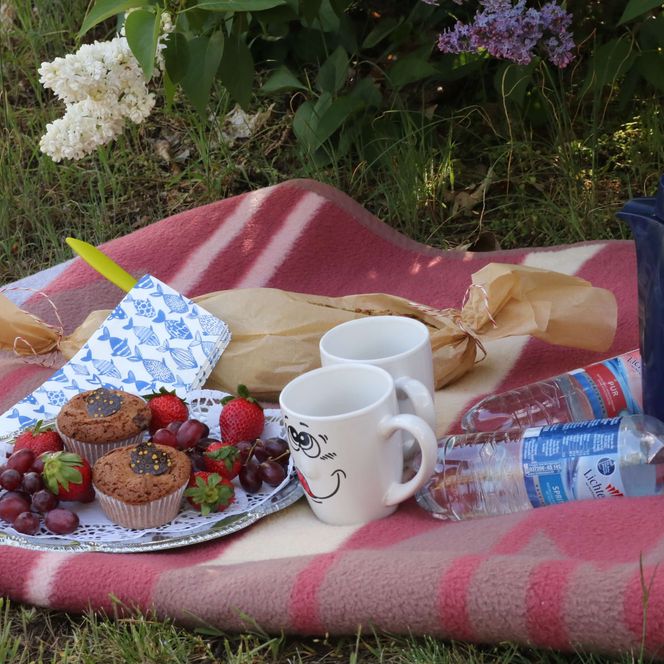 Picknickangebot von der Karpfenschänke