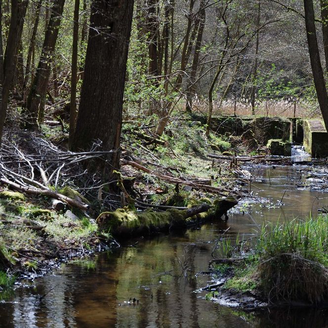 MittelMuehle Altes Wehr Lost Place