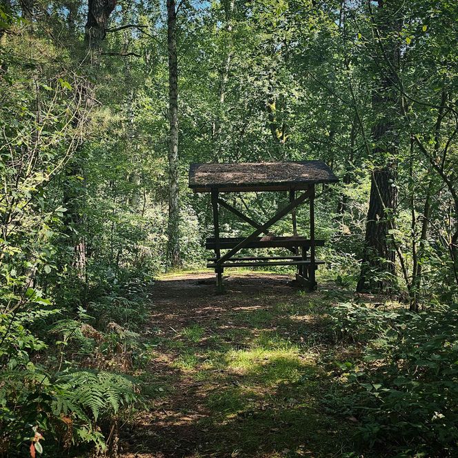 Mäanderblick schlaubetal