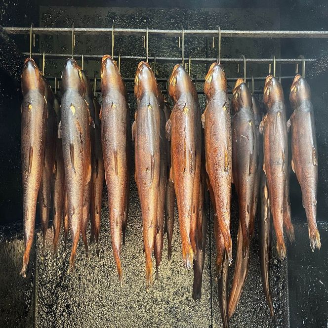 aufgereihte Forelle im Räucherofen