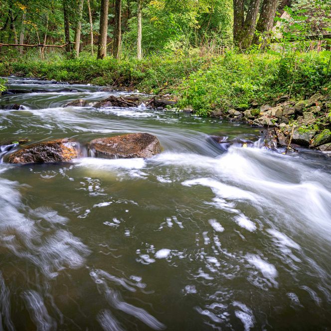 Fischtreppe am Kupferhammer Schlaubetal Herbst
