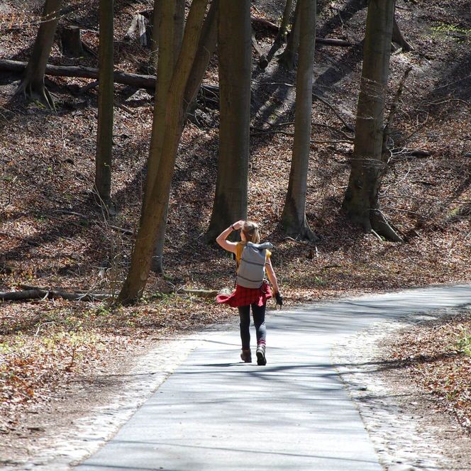 Wandern Siehdichum Schlaubetal Sommer