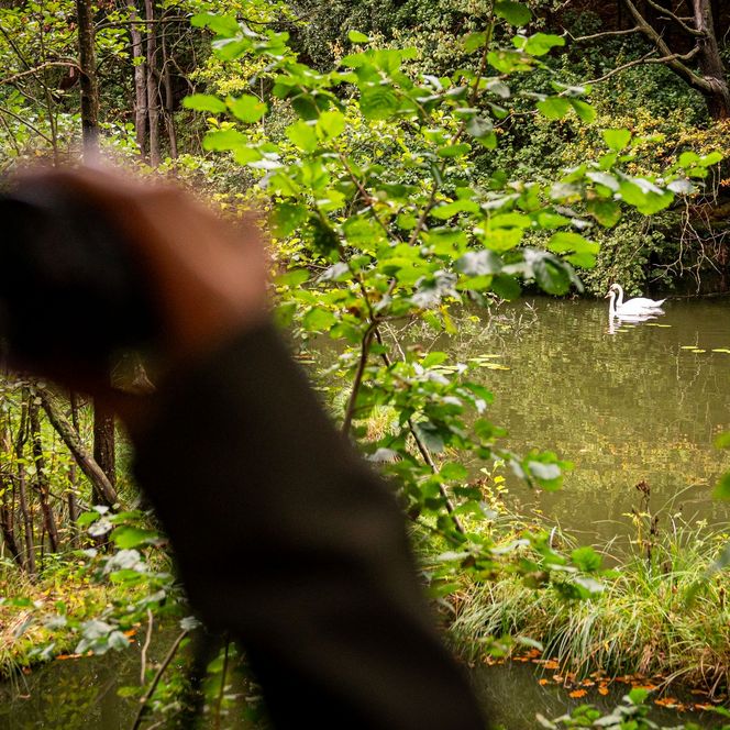 Fernglas Herbst Wandern Schwaene Schlaubetal