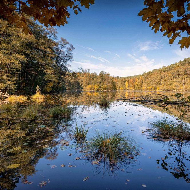 Wasser Kaupen Schlaubetal Sommer
