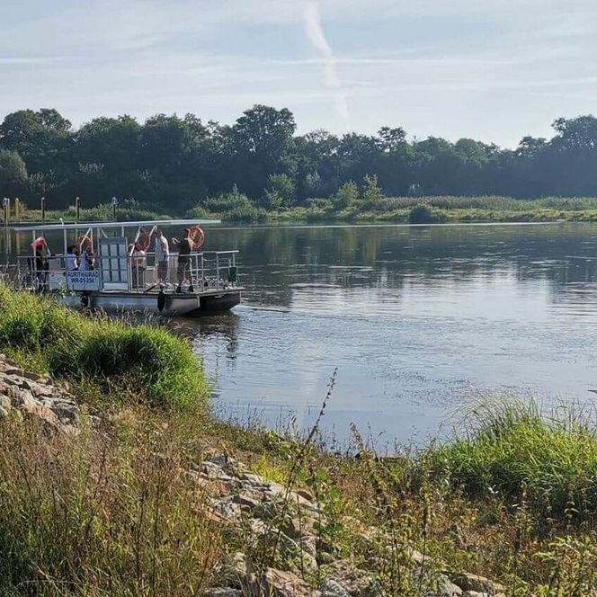 Fähre Aurith Urad an der Oder Blick zum Aussichtsturm