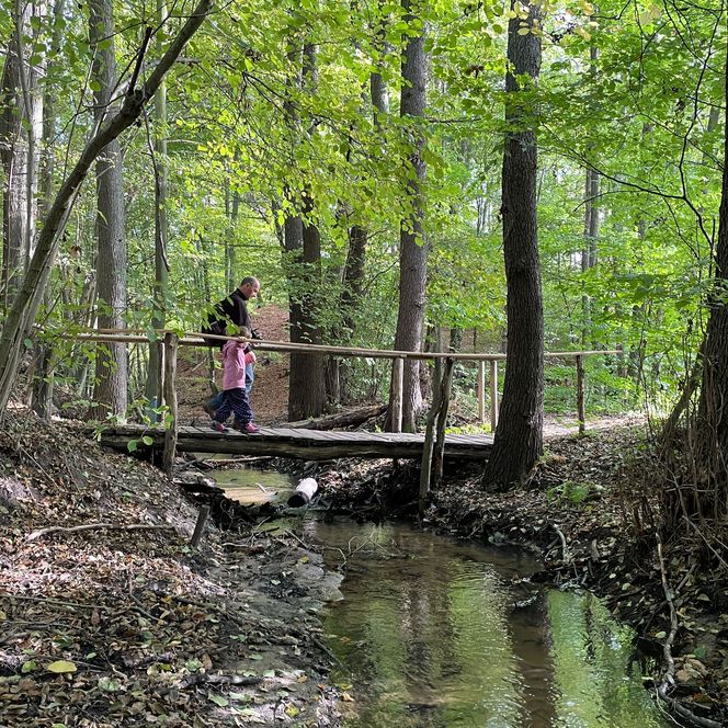 Planfliess-Bruecke Schlaubetal