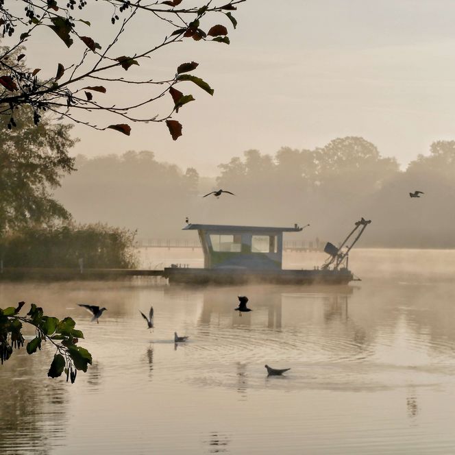 BTU - Forschungskatamaran Bad Saarow Scharmuetzelsee Herbst Nebel