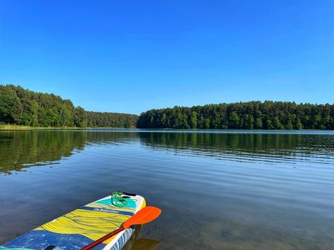 Schervenzsee Sommer Standup Paddle