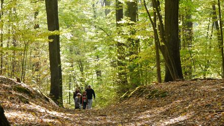 Wanderer im Naturpark Märkische Schweiz