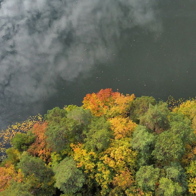 Luftaufnahme des Schlaubetals im Herbst, geteilte Landschaft in Fluss und Wald