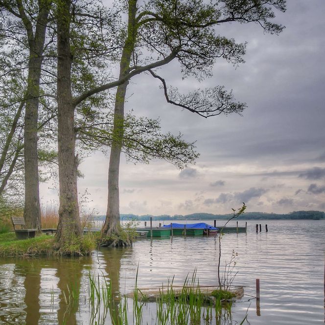 Naturgut Köllnitz am Groß Schauener See am Steg Blick auf das Wasser