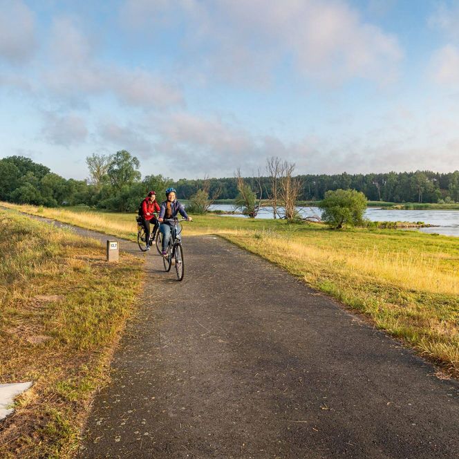 2 Radfahrer auf Oder Neisse Radweg bei Aurith