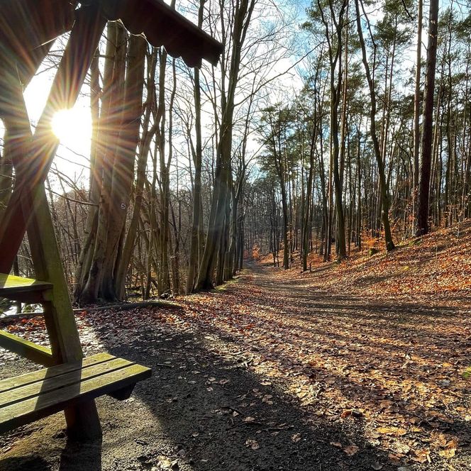 schlaubetal-herbst-sonne-rastplatz-unterhalb-siehdichum