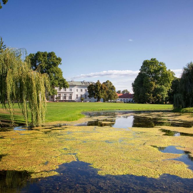 Neuhardenberg Schloss hinter einer grünen Wiese und Wasser im Sommer