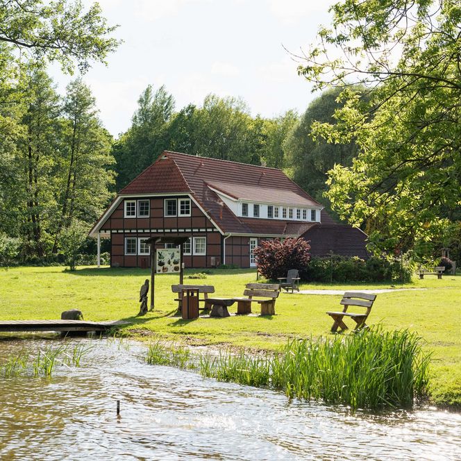 Naturgut Köllnitz Blick vom Wasser im Sommer
