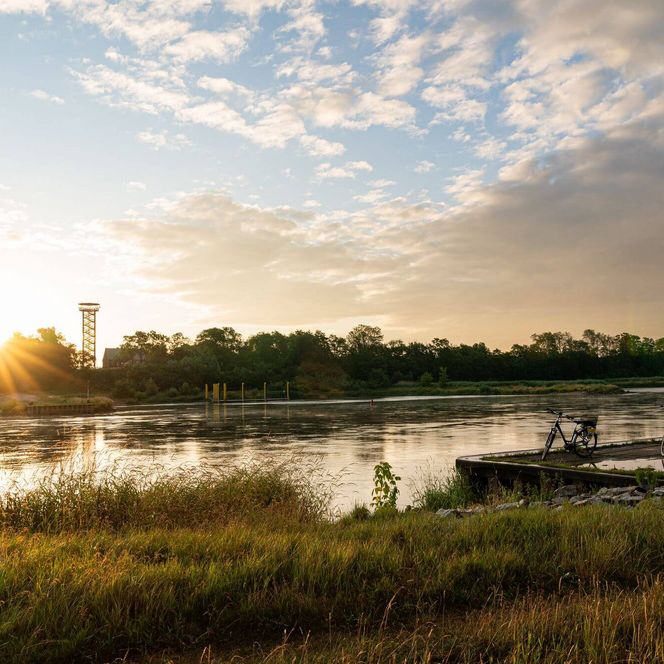 Sonnenuntergang an der Oder in Aurith mit Radfahrer und Aussichtsturm Urad