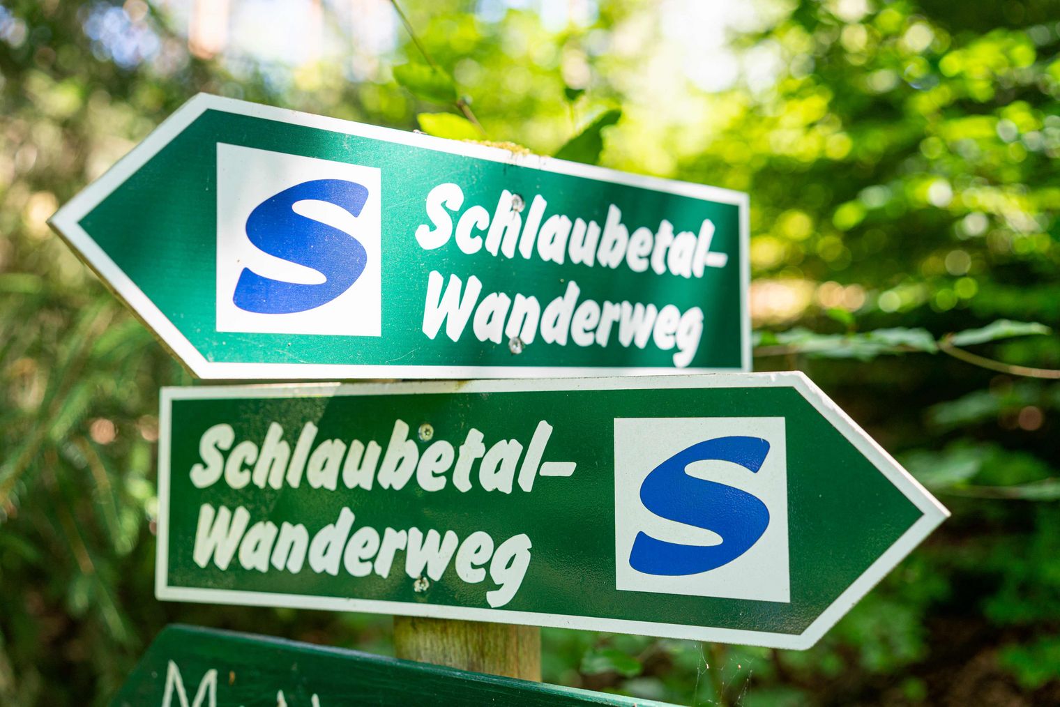 Wegweiser im Schlaubetal Schlaubetal-Wanderweg blaues S