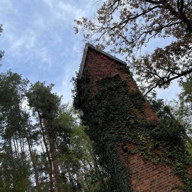 Rautenkranz Trafo Häuschen Sommer