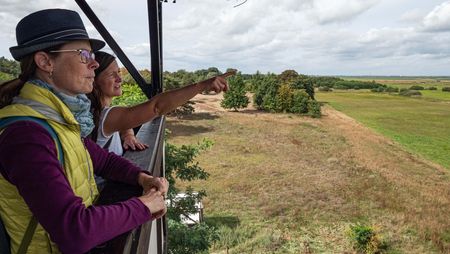 Zwei Frauen blicken vom Aussichtsturm im Naturpark Wartebruch
