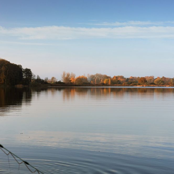 Morgenstimmung am Kossenblatter See