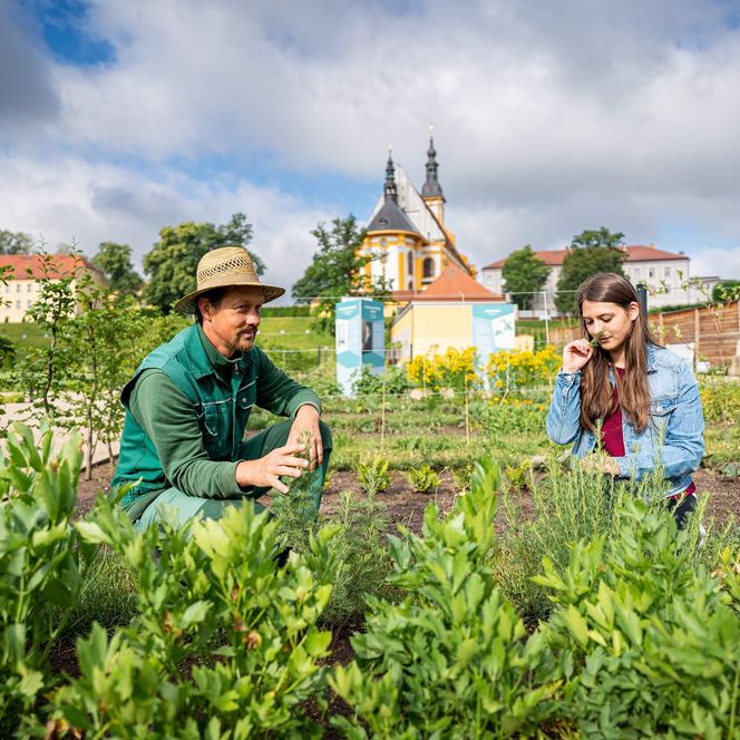 Gartenführung im Kräutergarten/Lustgarten im Kloster Neuzelle