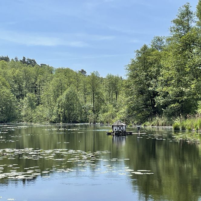 Ragower Muehle Muehlteich im Sommer