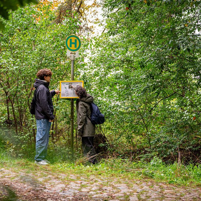 A 400 Ausflugslinie Haltestelle Kupferhammer mit Wanderin im Schlaubetal
